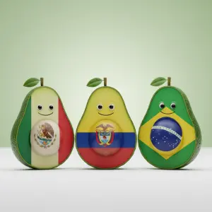 Avocado Production by Country (2025)