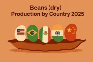 Beans (dry) Production by Country 2025