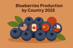 Blueberries  Production by Country 2025