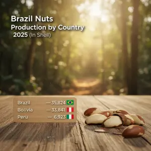 Brazil Nuts Production by Country 2025 (in shell)
