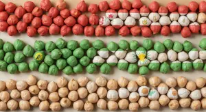 Chickpeas (Dry) Production by Country 2025