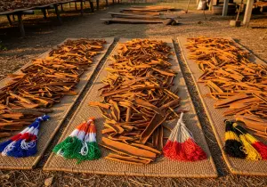 Cinnamon (Raw) Production by Country 2025