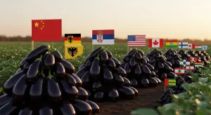 Eggplants (aubergines) Production by Country 2025