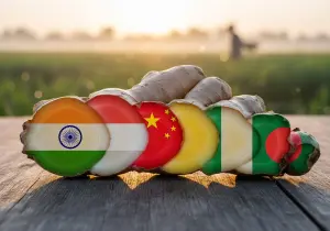 Ginger, raw Production by Country 2025