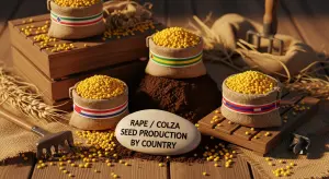 Rape or colza seed Production by Country 2025